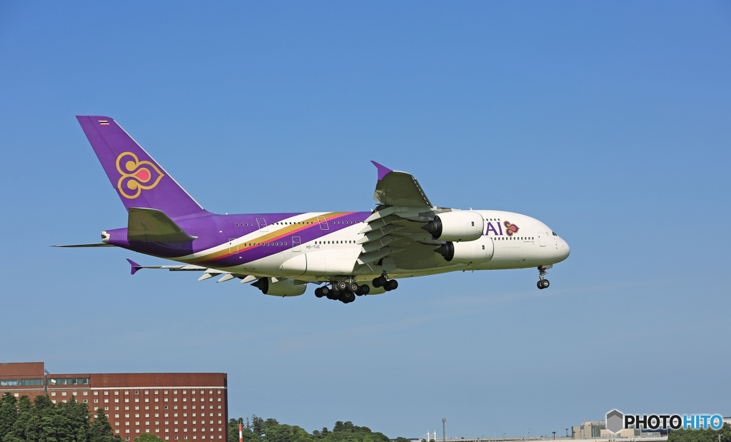 到着 THAI A380-841 HS-TUC 