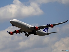 飛行　SAS A340-300