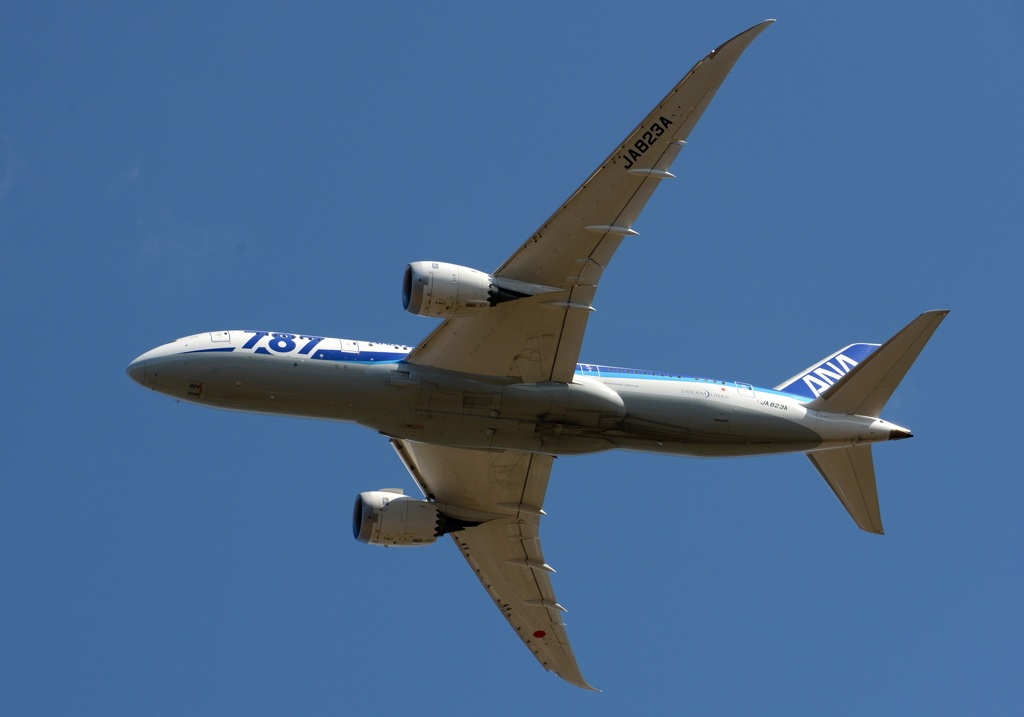  ANA 787-8 