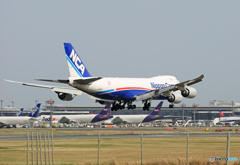 「良い天気」 NCA 747-8KZF JA14KZ 到着 「良い天気」 NCA 747-8KZF JA14KZ 到着