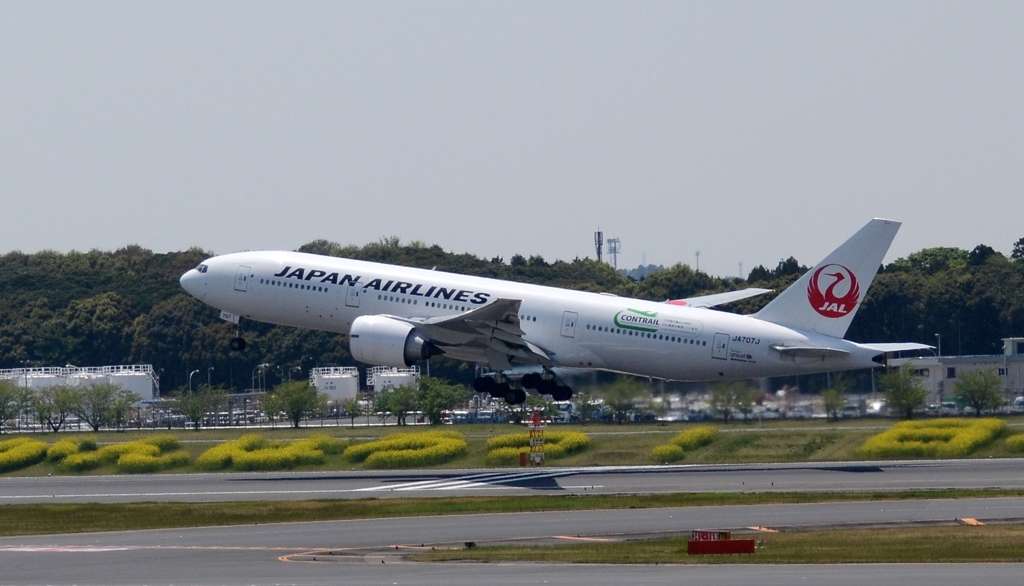 飛び立ち（149）Japan Airlines 777-200 　