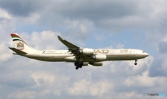 到着  ETIHAD A340-500 