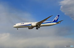 「良い天気」 ANA 787-9 JA876A