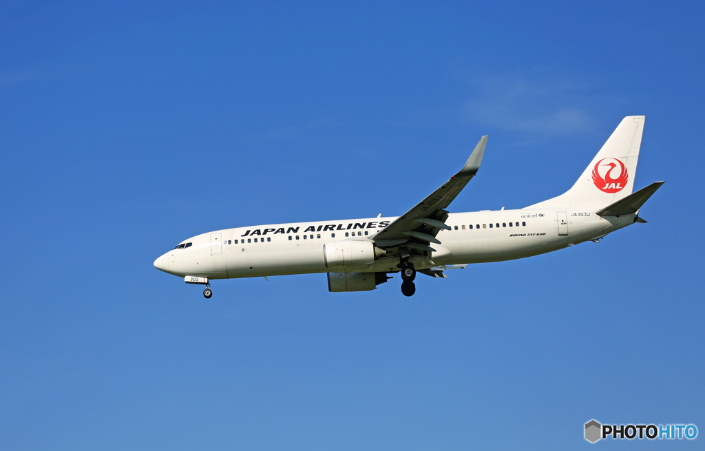 着地前 JAL 737-846 JA303J