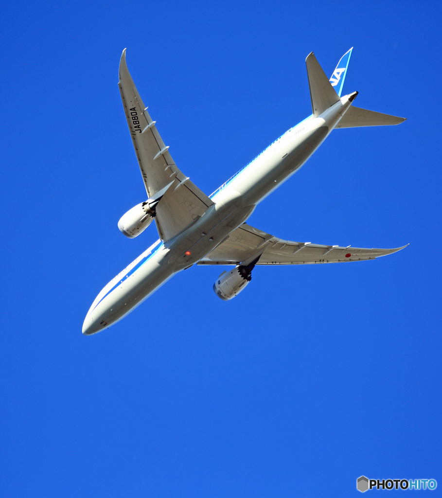 [青い空]　ANA 787-9 JA880A