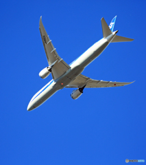 [青い空]　ANA 787-9 JA880A