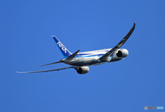ANA 787-8 JA820A 出発 