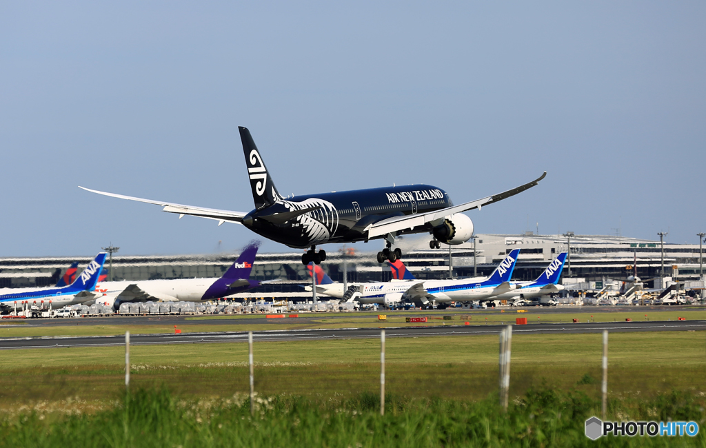 Air New Zealand All Blacks B787-9 ZK-NZE