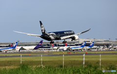 Air New Zealand All Blacks B787-9 ZK-NZE
