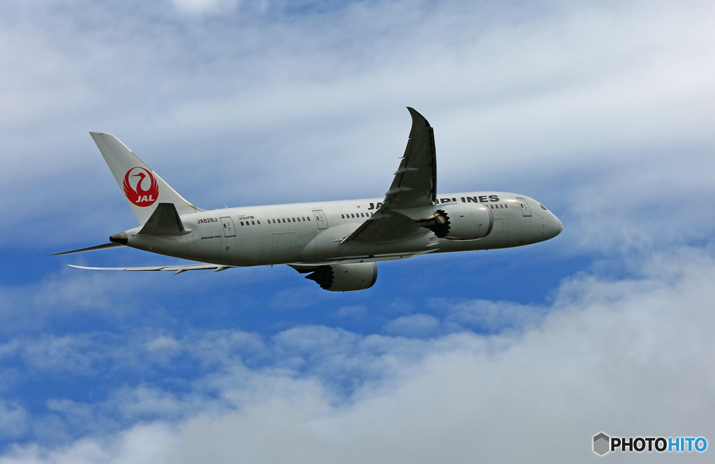 JAL 787-8 JA837J出発 