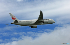 JAL 787-8 JA837J出発 