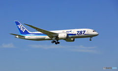 着陸 ANA 787-8 JA814A