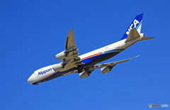 「青空」 NCA 747-8KZF JA14KZ飛び立ち