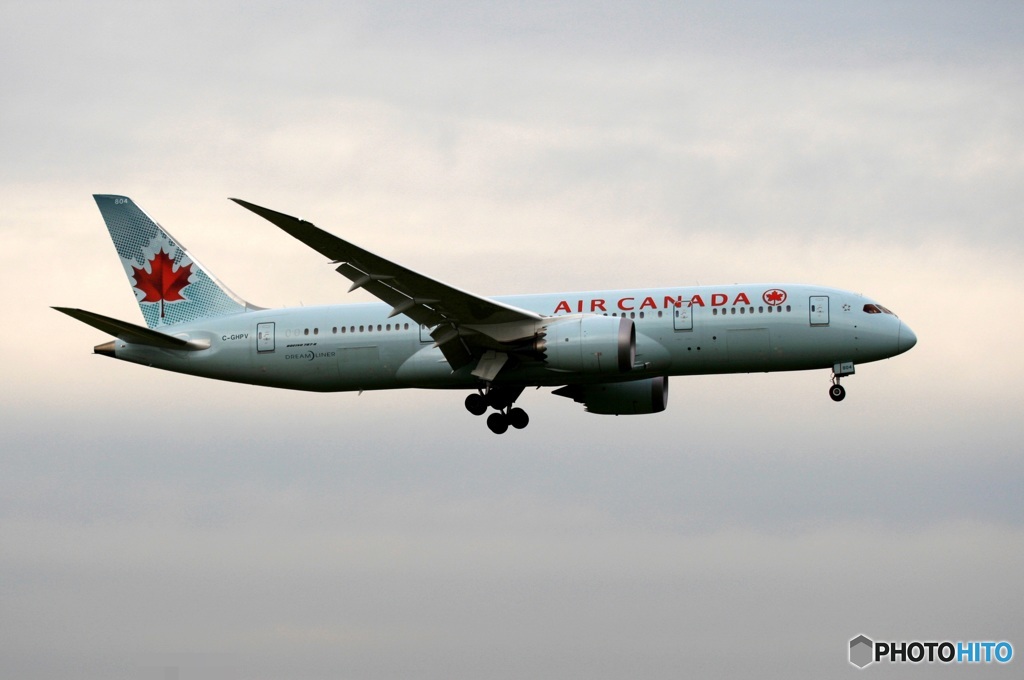 Air Canada 787-8 到着　