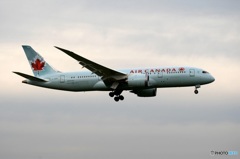 Air Canada 787-8 到着　