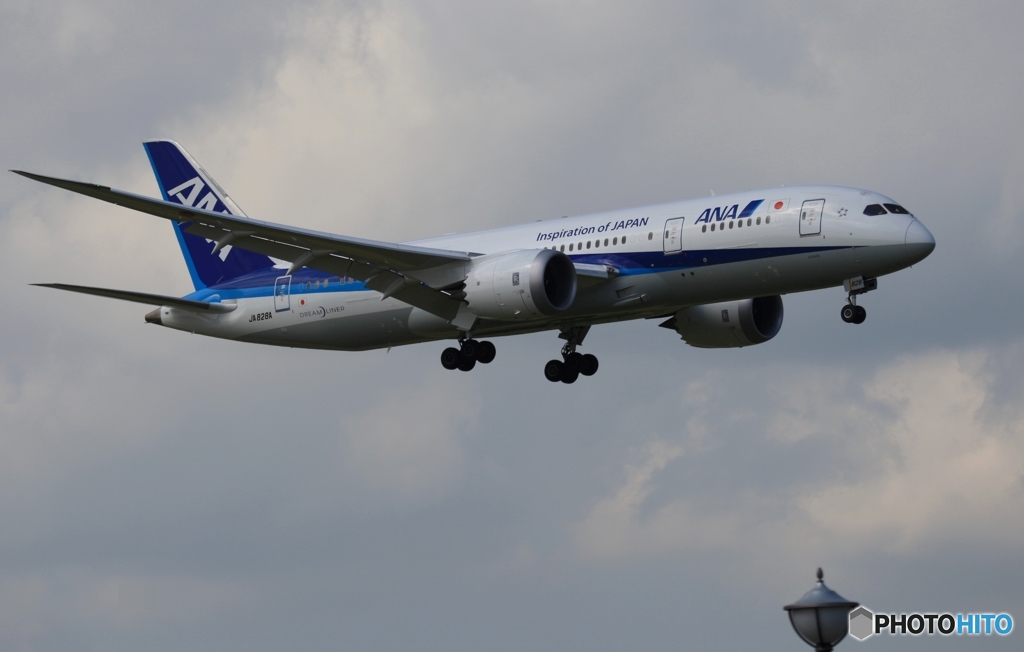到着　ANA 787-8