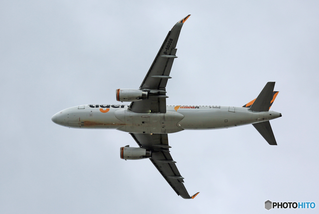 tigerair A320-232 B-50008 飛び立ち　