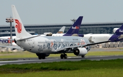 出発（191）Air China 737-86N 