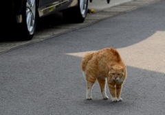 怒られてしまいました！