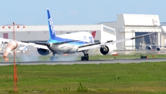 着陸（32-2）ANA 787-8 [b]