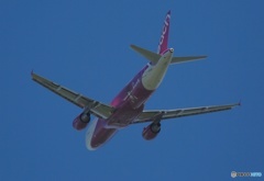 peach A320-214  離陸　