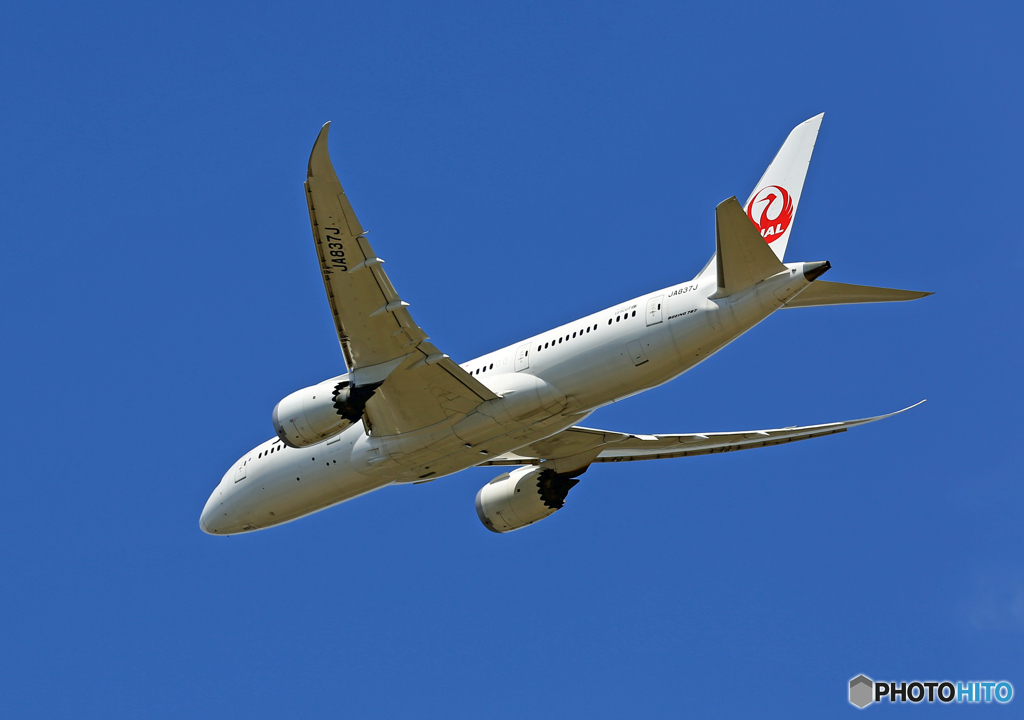 ☀「青い空」が一番JAL 787-8 JA837J Takeoff