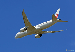 ☀「青い空」が一番JAL 787-8 JA837J Takeoff ☀「青い空」が一番JAL 787-8 JA837J Takeoff
