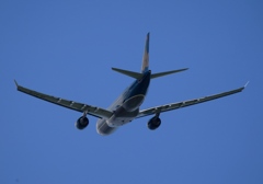 飛行　Vietnam A330-200 (1)