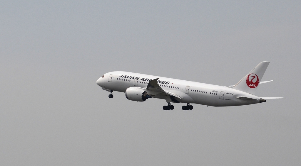 JAL 787