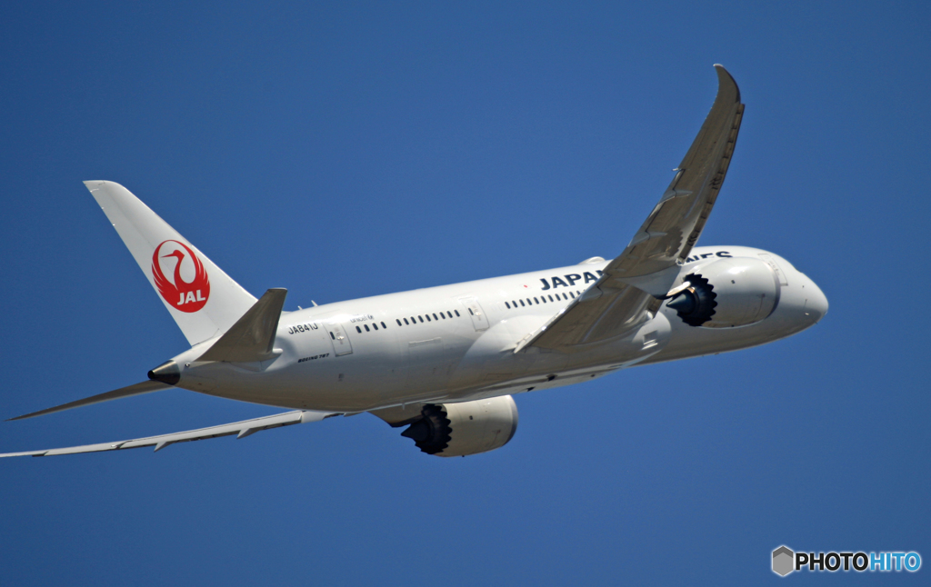 JAL 787-8 JA841J 離陸 