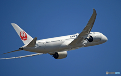 JAL 787-8 JA841J 離陸 