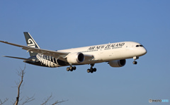 Air New Zealand B787-9 ZK-NZC 到着 　