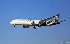 着陸 Air New Zealand B787-9 ZK-NZC