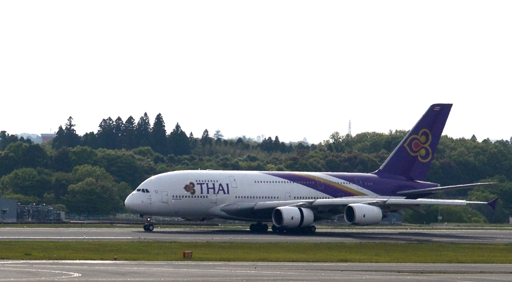 飛び立ち（34）THAI Airways A380-800