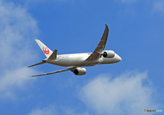 出発 JAL 787-8 JA843J