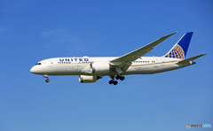 United 787-8 N20904 着陸  