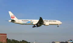 着陸 JAL 「JET KEI 」JA733A