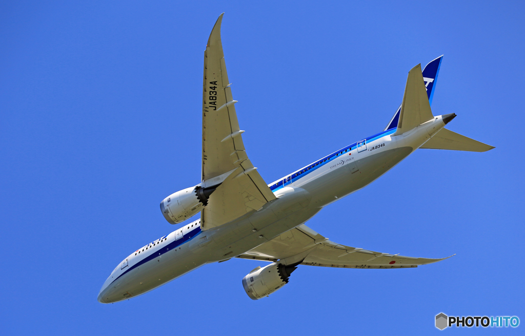 「そらー」　ANA 787-8 JA834A