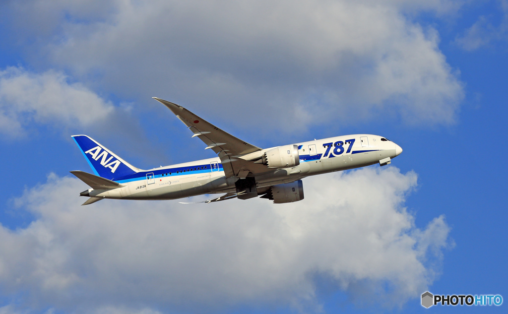 ANA 787-8 JA813A 飛行 