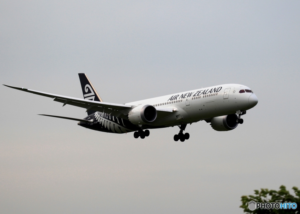 Air New Zealand 787-9 到着　
