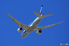 ANA 787-8 JA814A 離陸　
