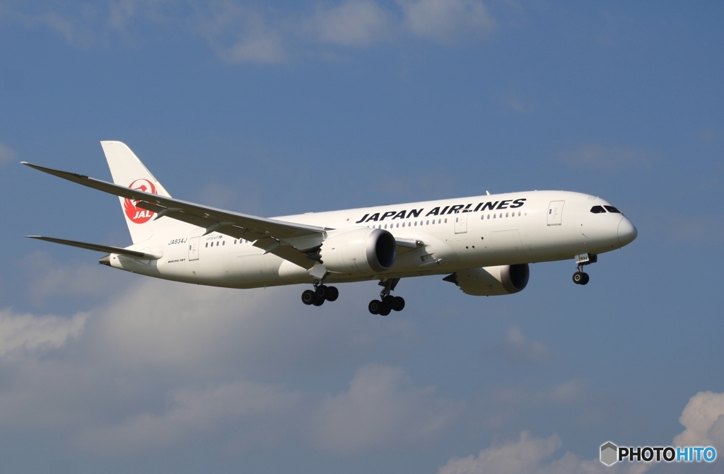 着陸　JAL 787-8