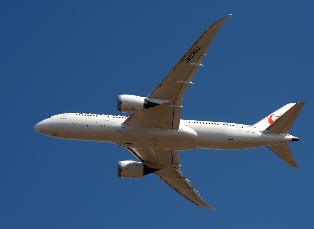 JAL 787-8 