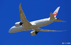 出発 JAL 787-8 JA842J