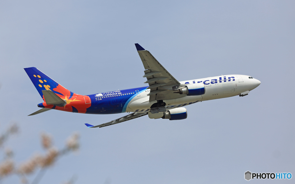 Air Calin A330-202 F-OJSE Takeoff 