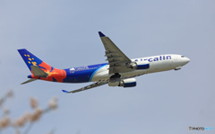 Air Calin A330-202 F-OJSE Takeoff 