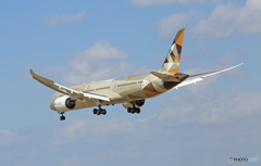 　[青い空]　Etihad 787-9 A6-BLC