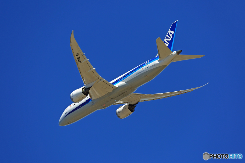 「SKY」 ANA 787-8 JA828A出発