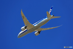 「SKY」 ANA 787-8 JA828A出発