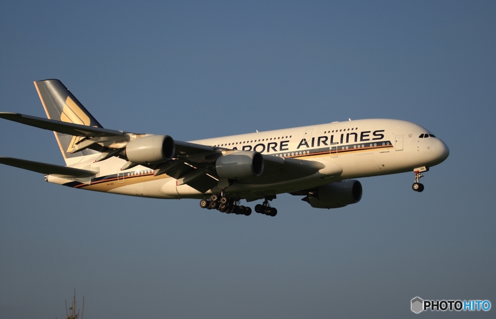 SINGAPORE A380-841 到着　